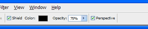 Perspective checkbox in Crop Tool options